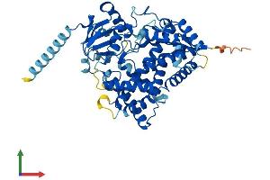 AlphaFold protein structure predicition of Mouse Recombinant Cyp21 Protein, UniprotID P03940
