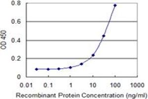 Detection limit for recombinant GST tagged PI4K2A is 1 ng/ml as a capture antibody. (PI4K2A antibody  (AA 383-477))