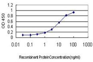 ELISA image for anti-CD83 (CD83) (AA 1-205) antibody (ABIN564015)