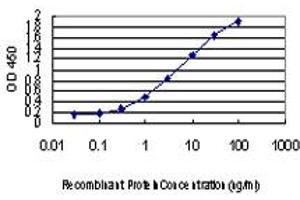 Detection limit for recombinant GST tagged PPP3CB is approximately 0. (PPP3CB antibody  (AA 435-524))