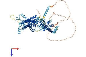 TMEM48 Protein (AA 1-673) (His tag)