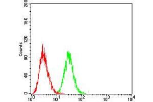Flow cytometric analysis of Jurkat cells using LHCGR mouse mAb (green) and negative control (red). (LHCGR antibody)