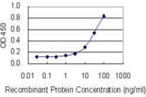 Detection limit for recombinant GST tagged P2RX2 is 1 ng/ml as a capture antibody. (P2RX2 antibody  (AA 128-205))