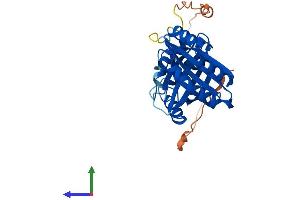 Protein Structure (PS) image for 4-Nitrophenylphosphatase Domain and Non-Neuronal SNAP25-Like Protein Homolog 1 (NIPSNAP1) (AA 1-284) protein (His tag) (ABIN7549761)