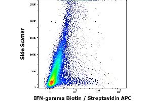 Flow cytometry intracellular staining pattern of human peripheral whole blood (PHA stimulated and Brefeldin A + Monesin treated) stained using anti-human IFN-gamma (4S. (Interferon gamma antibody  (Biotin))