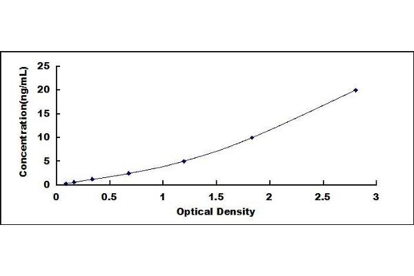 IGBP1 ELISA Kit