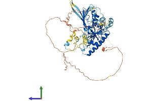 AlphaFold protein structure predicition of Human Recombinant DONSON Protein, UniprotID Q9NYP3 (DONSON Protein (AA 1-566) (His tag))