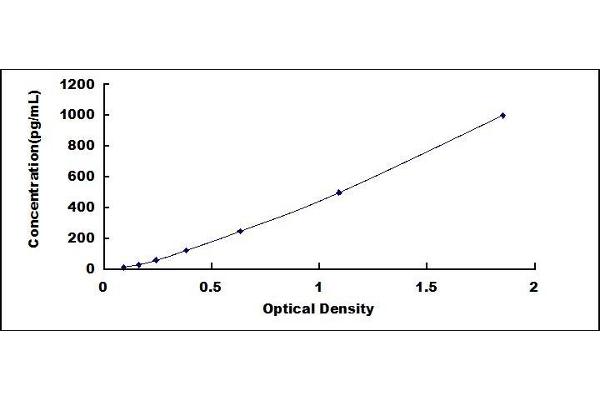 Cathepsin K ELISA Kit