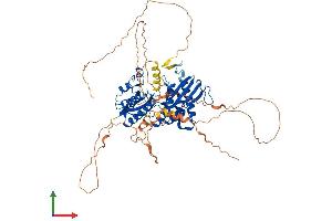 Protein Structure (PS) image for Phosphatidylinositol-4-Phosphate 5-Kinase, Type I, gamma (PIP5K1C) (AA 1-668) protein (His tag) (ABIN7554964)