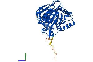 AlphaFold protein structure predicition of Human Recombinant OGFOD2 Protein, UniprotID Q6N063 (OGFOD2 Protein (AA 1-350) (His tag))