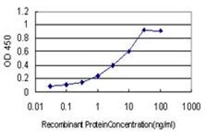 Detection limit for recombinant GST tagged C17orf75 is approximately 0. (C17orf75 antibody  (AA 1-396))