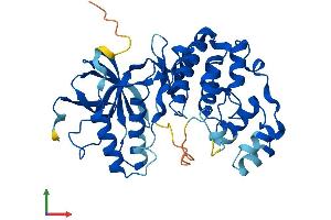 AlphaFold protein structure predicition of Mouse Recombinant Mapk11 Protein, UniprotID Q9WUI1 (MAPK11 Protein (AA 1-364) (His tag))