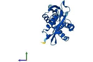 AlphaFold protein structure predicition of Mouse Recombinant Cml1 Protein, UniprotID Q9JIZ0 (Camello-Like 1 (CML1) (AA 1-222) protein (His tag))