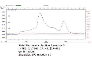 Size-exclusion chromatography-High Pressure Liquid Chromatography (SEC-HPLC) image for Atrial Natriuretic Peptide Receptor 3 (NPR3) (AA 27-481) protein (His tag) (ABIN3096737) (NPR3 Protein (AA 27-481) (His tag))