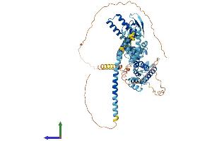 AlphaFold protein structure predicition of Human Recombinant CNGA3 Protein, UniprotID Q16281