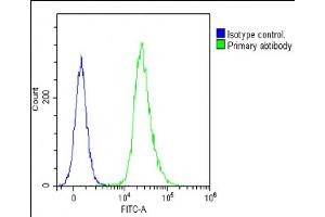 Overlay histogram showing Jurkat cells stained with (ABIN390769 and ABIN2841027)(green line). (Glucagon antibody  (C-Term))