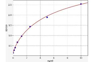 Cullin 5 ELISA Kit