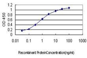 Detection limit for recombinant GST tagged SHC1 is approximately 0. (SHC1 antibody  (AA 171-280))