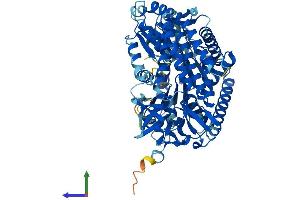 Protein Structure (PS) image for DEXH (Asp-Glu-X-His) Box Polypeptide 58 (DHX58) (AA 1-678) protein (His tag) (ABIN7564877)