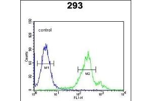 CDC42EP3 Antibody (N-term) (ABIN652721 and ABIN2842477) flow cytometric analysis of 293 cells (right histogram) compared to a negative control cell (left histogram).