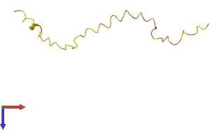AlphaFold protein structure predicition of Human Recombinant KRTAP19-8 Protein, UniprotID Q3LI54