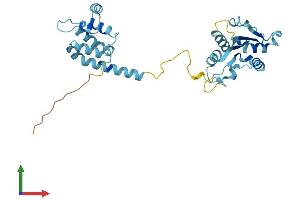 AlphaFold protein structure predicition of Human Recombinant MYD88 Protein, UniprotID Q99836 (MYD88 Protein (AA 1-296) (His tag))