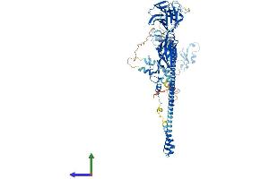 Protein Structure (PS) image for Midline 2 (MID2) (AA 1-735) protein (His tag) (ABIN7544590)
