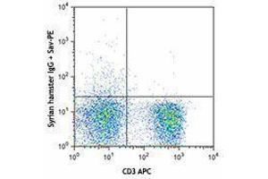 Flow Cytometry (FACS) image for anti-CD28 (CD28) antibody (Biotin) (ABIN2661030) (CD28 antibody  (Biotin))