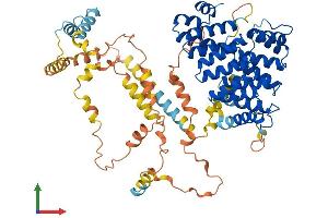 AlphaFold protein structure predicition of Human Recombinant PEX5 Protein, UniprotID P50542 (PEX5 Protein (AA 1-639) (His tag))