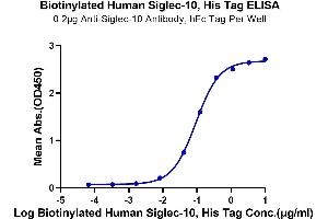 SIGLEC10 Protein (AA 17-546) (His-Avi Tag,Biotin)
