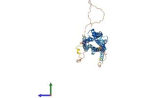 AlphaFold protein structure predicition of Human Recombinant AVPR1B Protein, UniprotID P47901