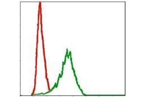 Flow cytometric analysis of NIH/3T3 cells using DLK1 mouse mAb (green) and negative control (red). (DLK1 antibody)