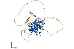 AlphaFold protein structure predicition of Human Recombinant ST6GALNAC1 Protein, UniprotID Q9NSC7