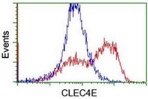 Image no. 9 for anti-C-Type Lectin Domain Family 4, Member E (CLEC4E) antibody (ABIN1497530)