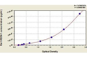 ELISA image for Steroid-5-alpha-Reductase, alpha Polypeptide 1 (3-Oxo-5 alpha-Steroid delta 4-Dehydrogenase alpha 1) (SRD5A1) ELISA Kit (ABIN6974719)
