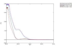 Image no. 1 for Androstenedione (ASD) protein (Ovalbumin) (ABIN1880303) (Androstenedione Protein (ASD) (Ovalbumin))