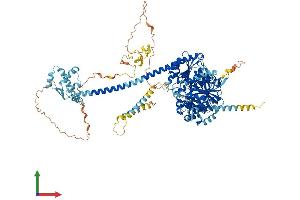 AlphaFold protein structure predicition of Human Recombinant IQCH Protein, UniprotID Q86VS3