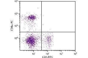 C57BL/6 mouse splenocytes were stained with Rat Anti-Mouse CD8α-PE. (CD8 alpha antibody  (PE))