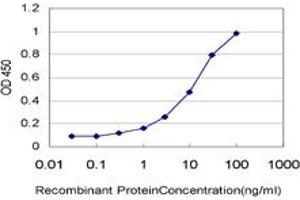 Detection limit for recombinant GST tagged ARHGEF1 is approximately 0. (ARHGEF1 antibody  (AA 830-927))