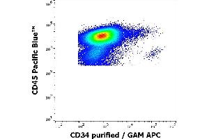 Flow Cytometry (FACS) image for anti-CD34 (CD34) antibody (ABIN343702)