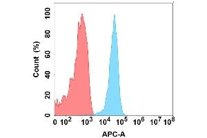 Flow cytometry analysis with Anti-CA on Expi293 cells transfected with human CA (Blue histogram) or Expi293 transfected with irrelevant protein (Red histogram).