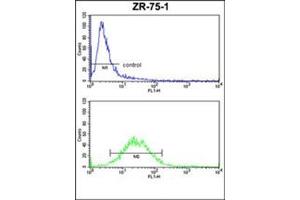 Flow Cytometry analysis of ZR-75-1 cells using CD114 / CSF3R Antibody (Center) Cat. (CSF3R antibody  (Middle Region))