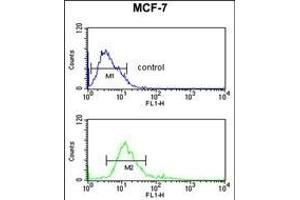 IDH2 Antibody (Center) (ABIN391584 and ABIN2841516) flow cytometric analysis of MCF-7 cells (bottom histogram) coared to a negative control cell (top histogram). (IMPDH2 antibody  (AA 180-210))