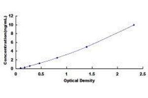 Neurotensin Receptor 1 (High Affinity) (NTSR1) ELISA Kit