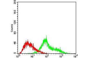 Flow cytometric analysis of Hela cells using TUBE1 mouse mAb (green) and negative control (red). (TUBE1 antibody  (AA 314-472))