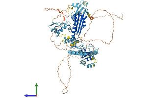 AlphaFold protein structure predicition of Mouse Recombinant Ankzf1 Protein, UniprotID Q80UU1 (ANKZF1 Protein (AA 1-748) (His tag))