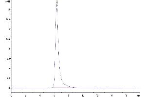 The purity of Human SIRP alpha is greater than 95 % as determined by SEC-HPLC.