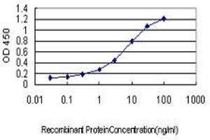 Detection limit for recombinant GST tagged HYI is approximately 0. (HYI antibody  (AA 1-217))
