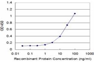 Detection limit for recombinant GST tagged PRODH is approximately 1ng/ml as a capture antibody. (PRODH antibody  (AA 441-540))