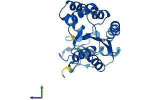 Protein Structure (PS) image for Adenylate Kinase 4 (AK4) (AA 1-223) protein (His tag) (ABIN7548658)